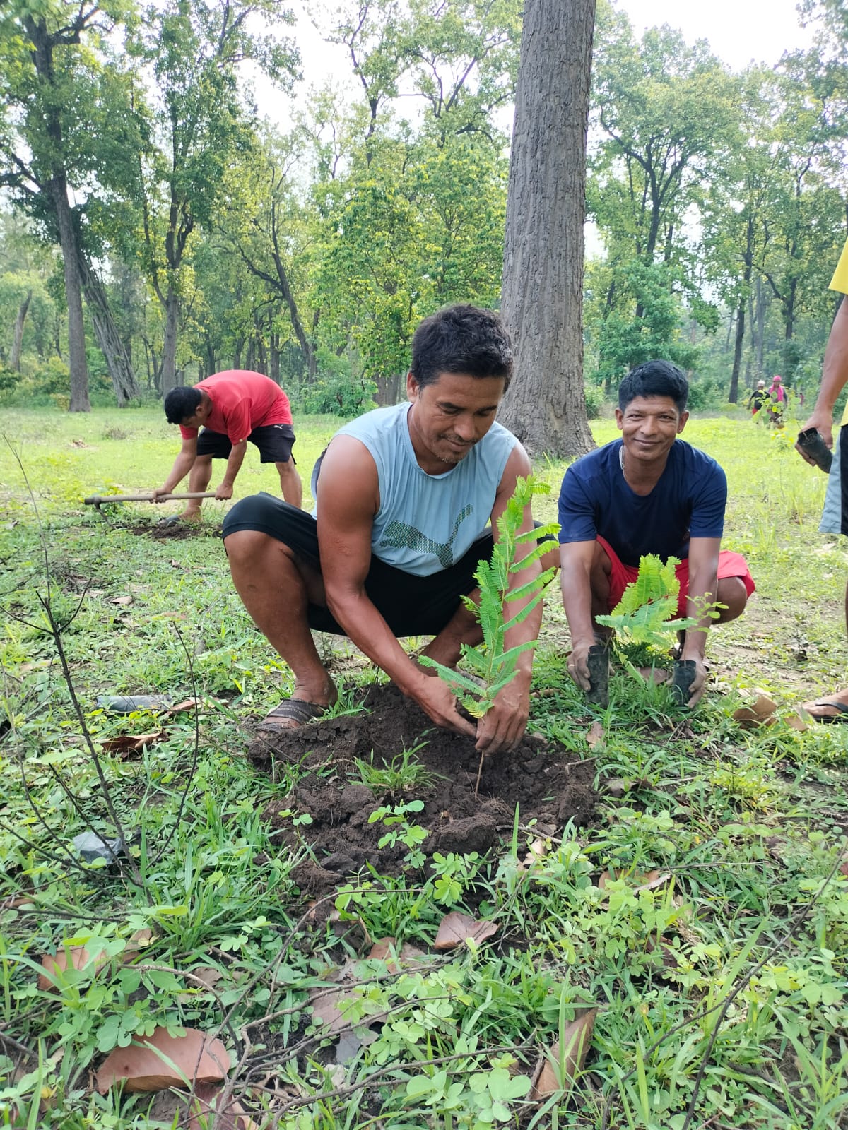 Tree Plantation with Support of RCC