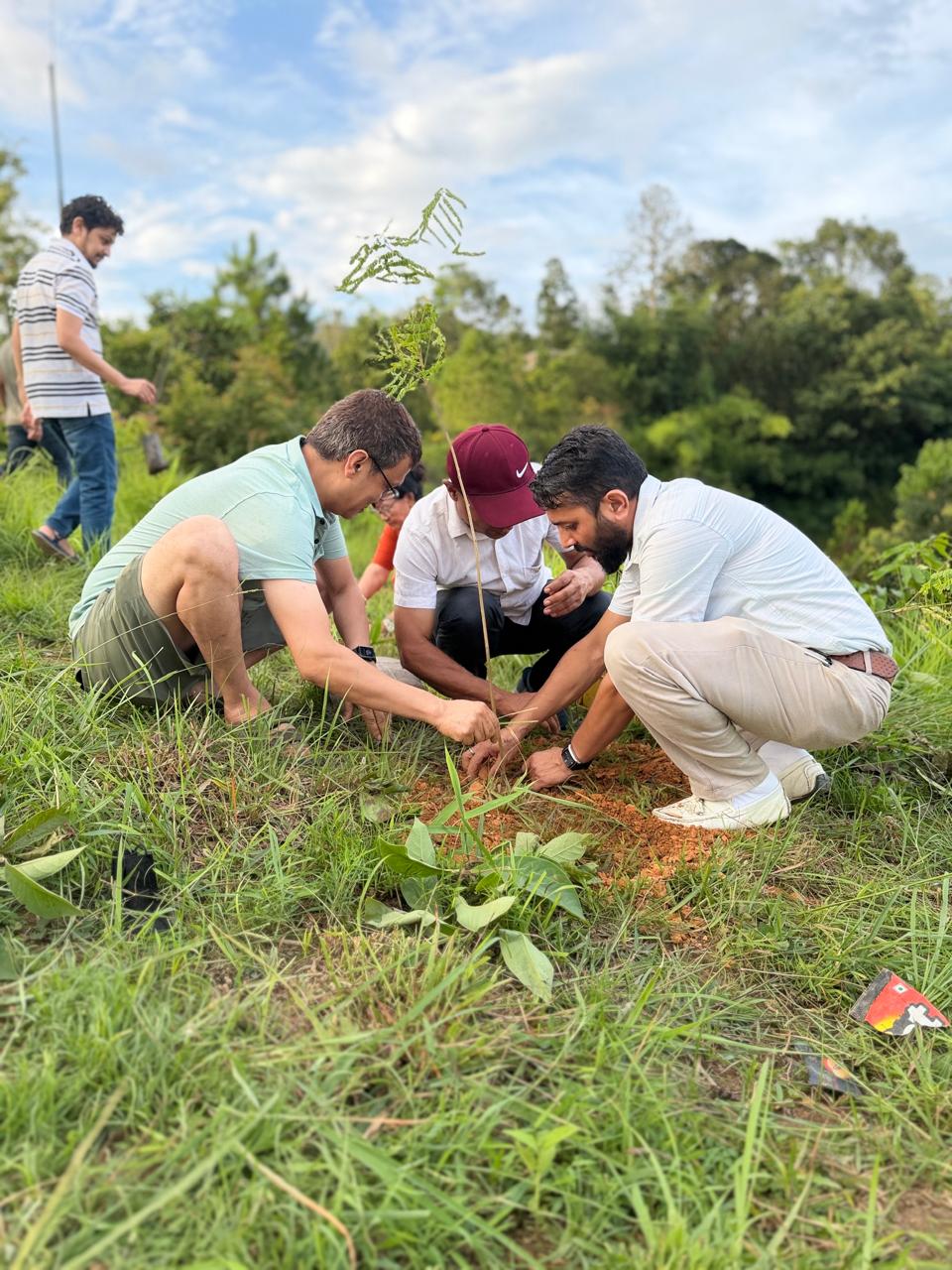 Tree Plantation Program