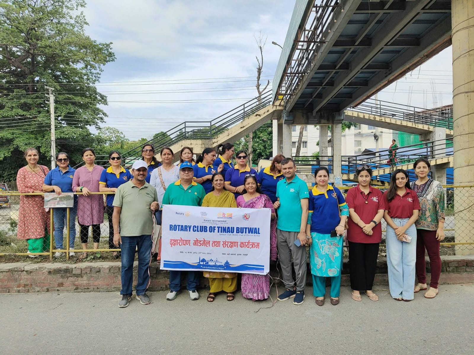 Tree Plantation