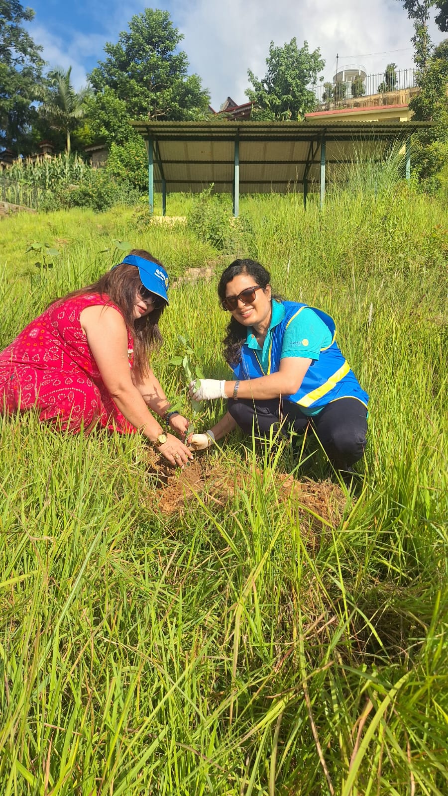 Tree Plantation Program