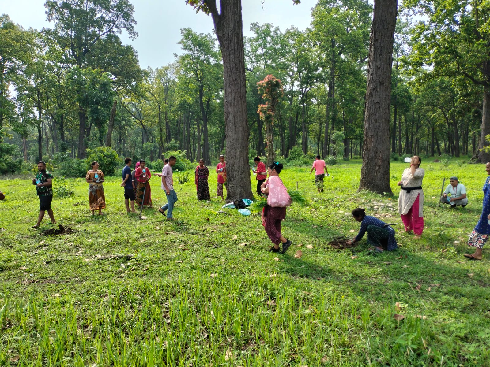 Tree Plantation with Support of RCC