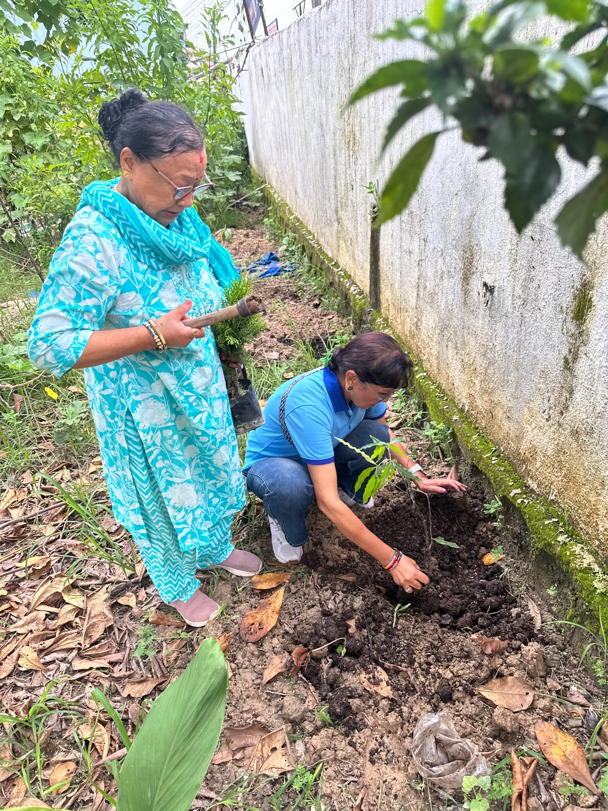 Tree plantation (Supporting  District 100000 tree plantation Campaign) Day 2