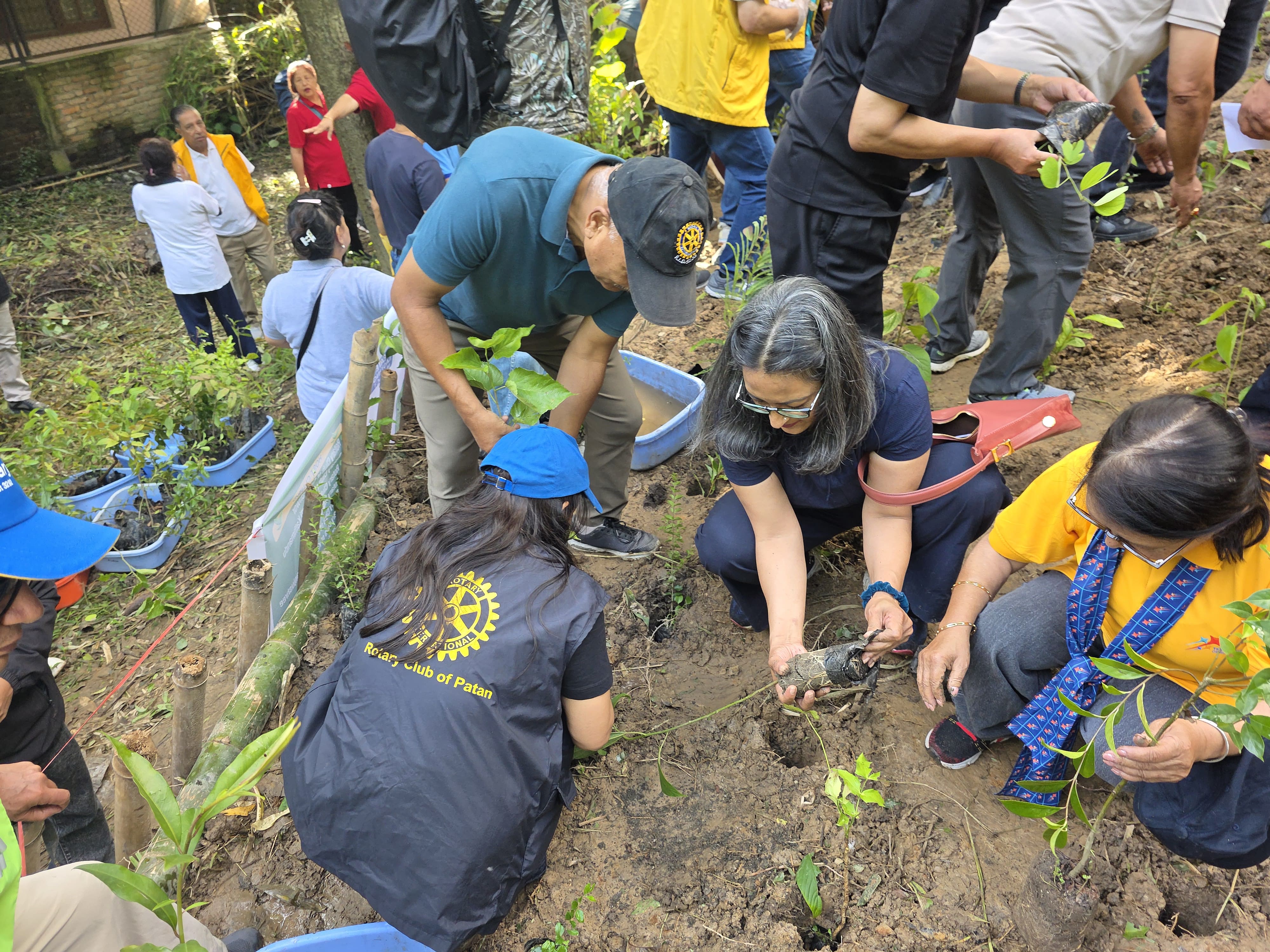 Rotary Joint Tree Plantation Programme 2026 – Miyawaki Method