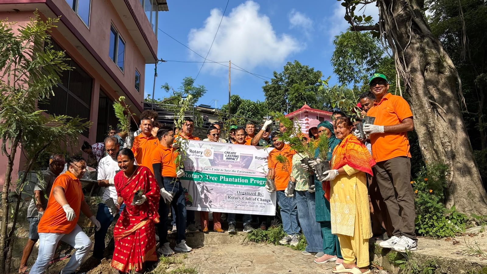 Tree Plantation