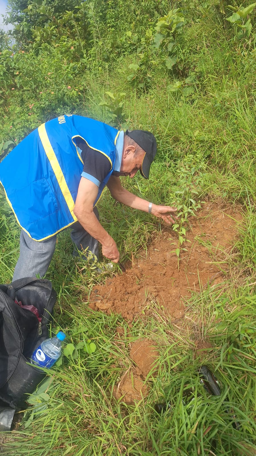 Tree Plantation Program