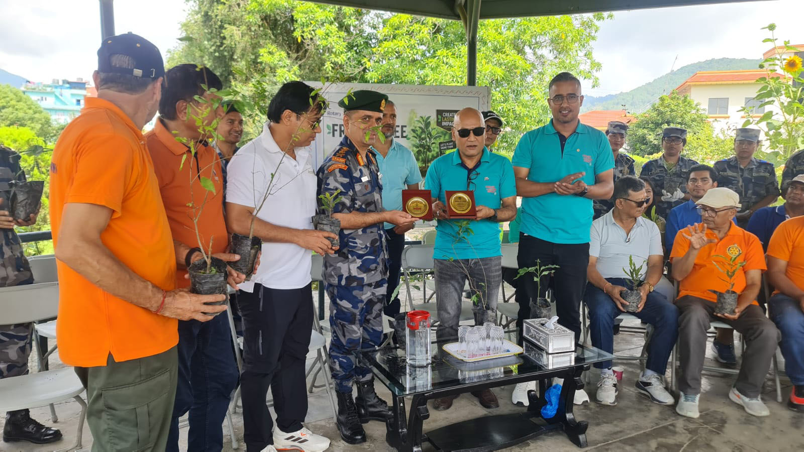 Fruits Tree Plantation