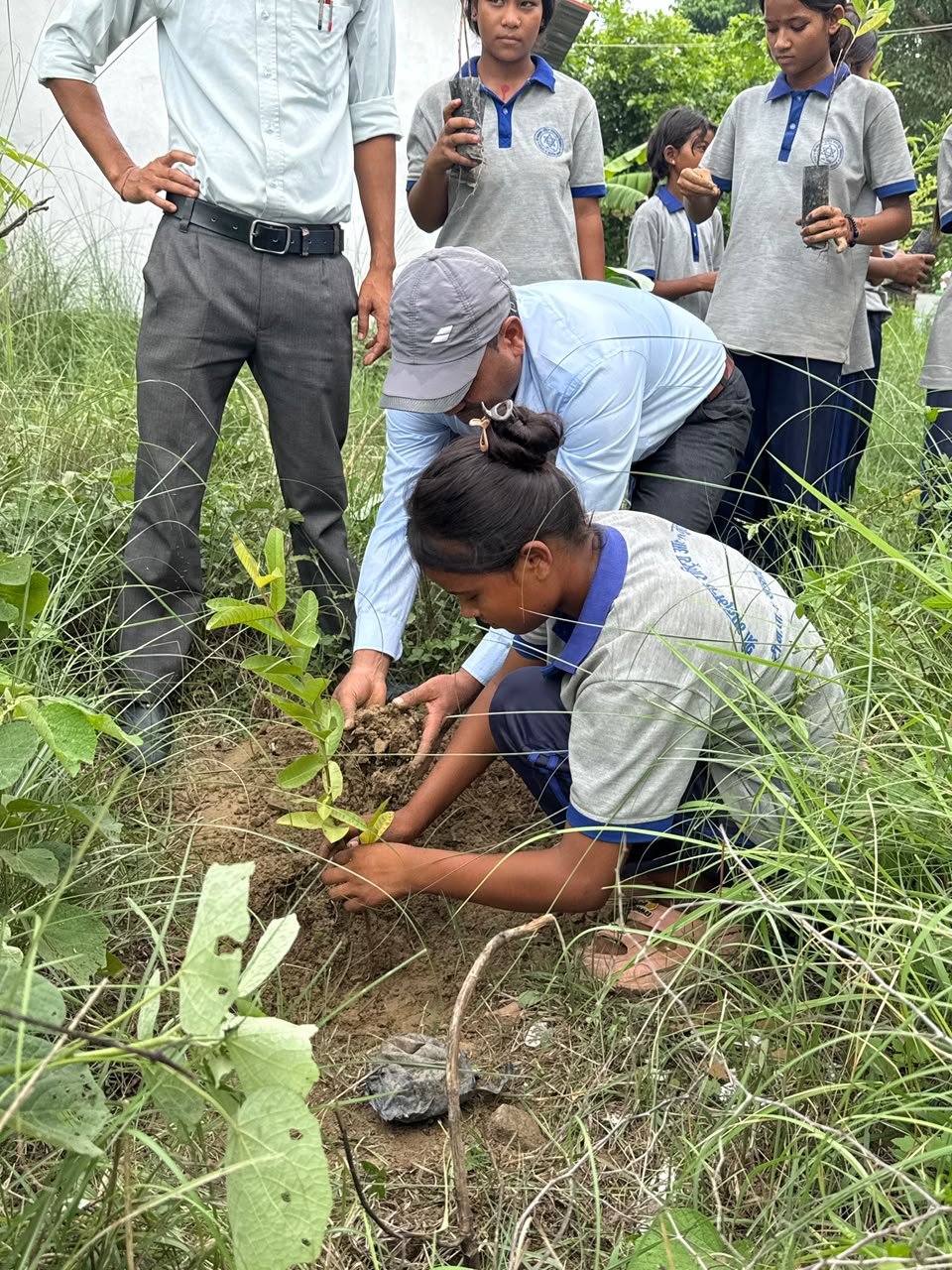 Tree Plantation at Bhanubhakta Rastriaya Aadharbhut School