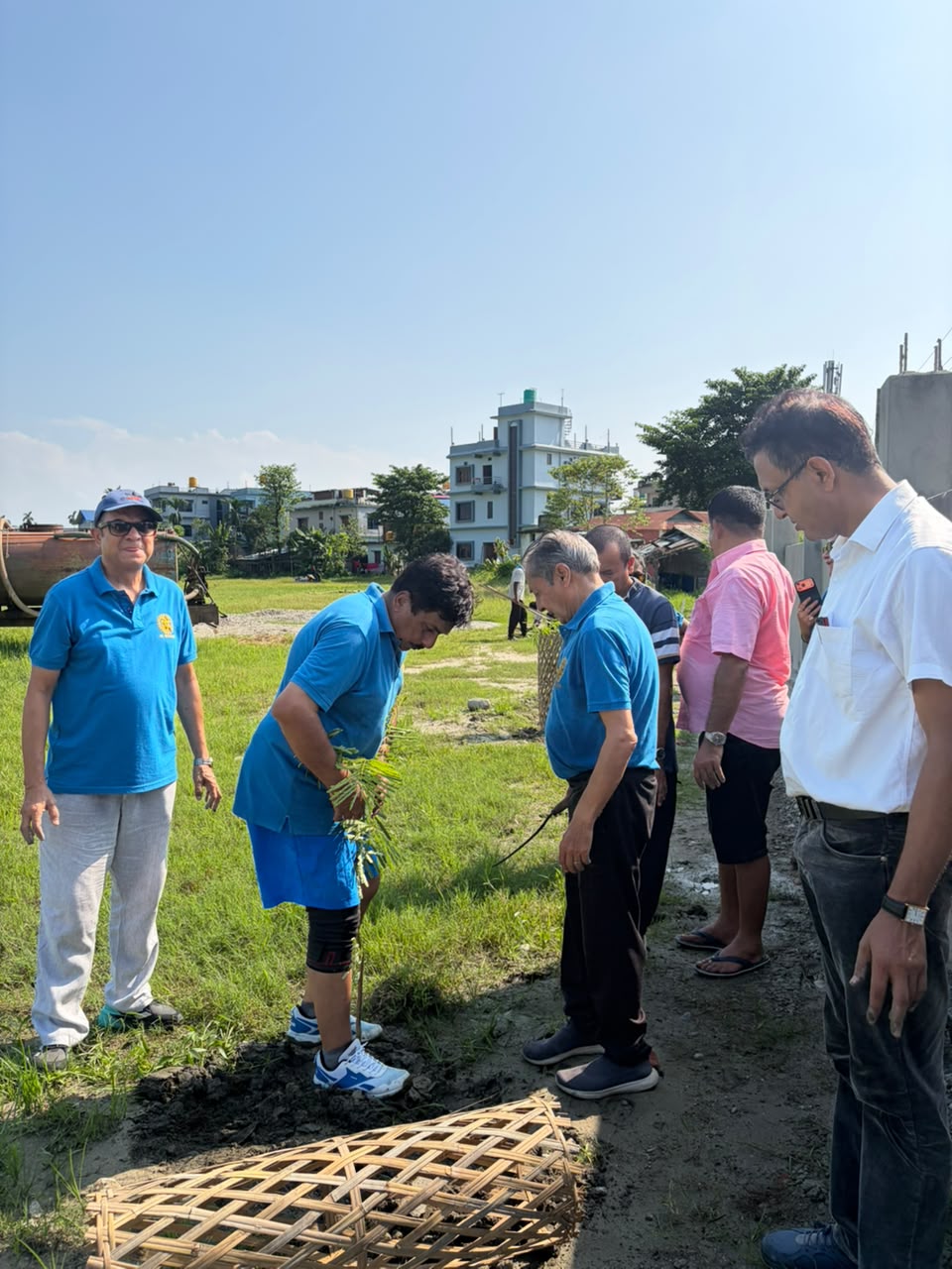 Tree Plantation Program