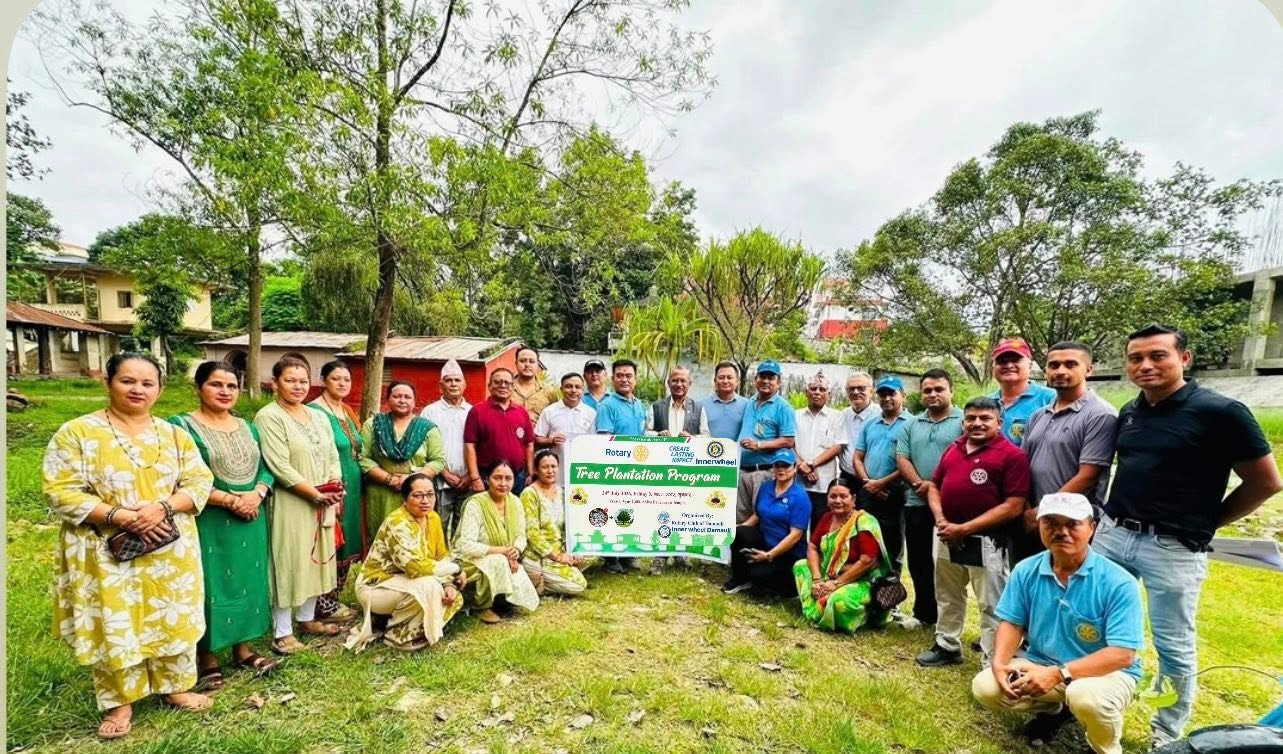 Tree plantation