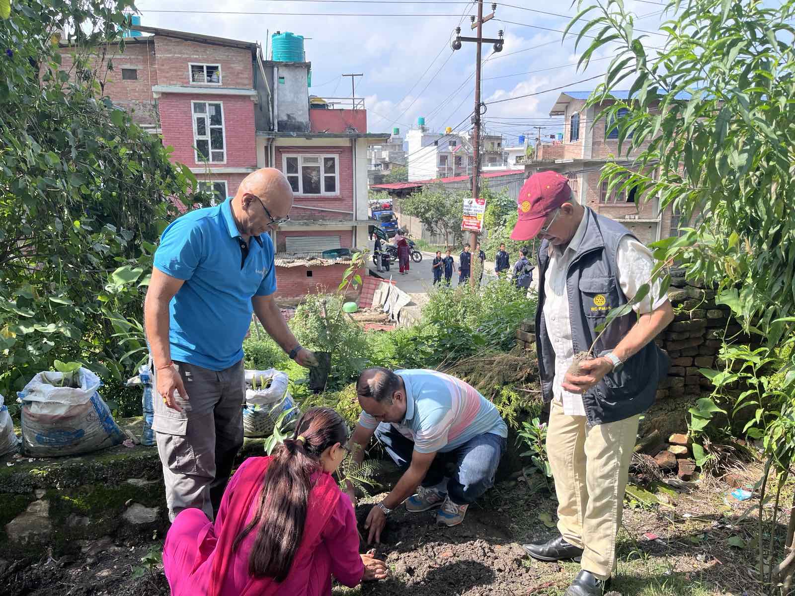 Tree Plantation Lubhu Secondary School, Lubhu, Lalitpur