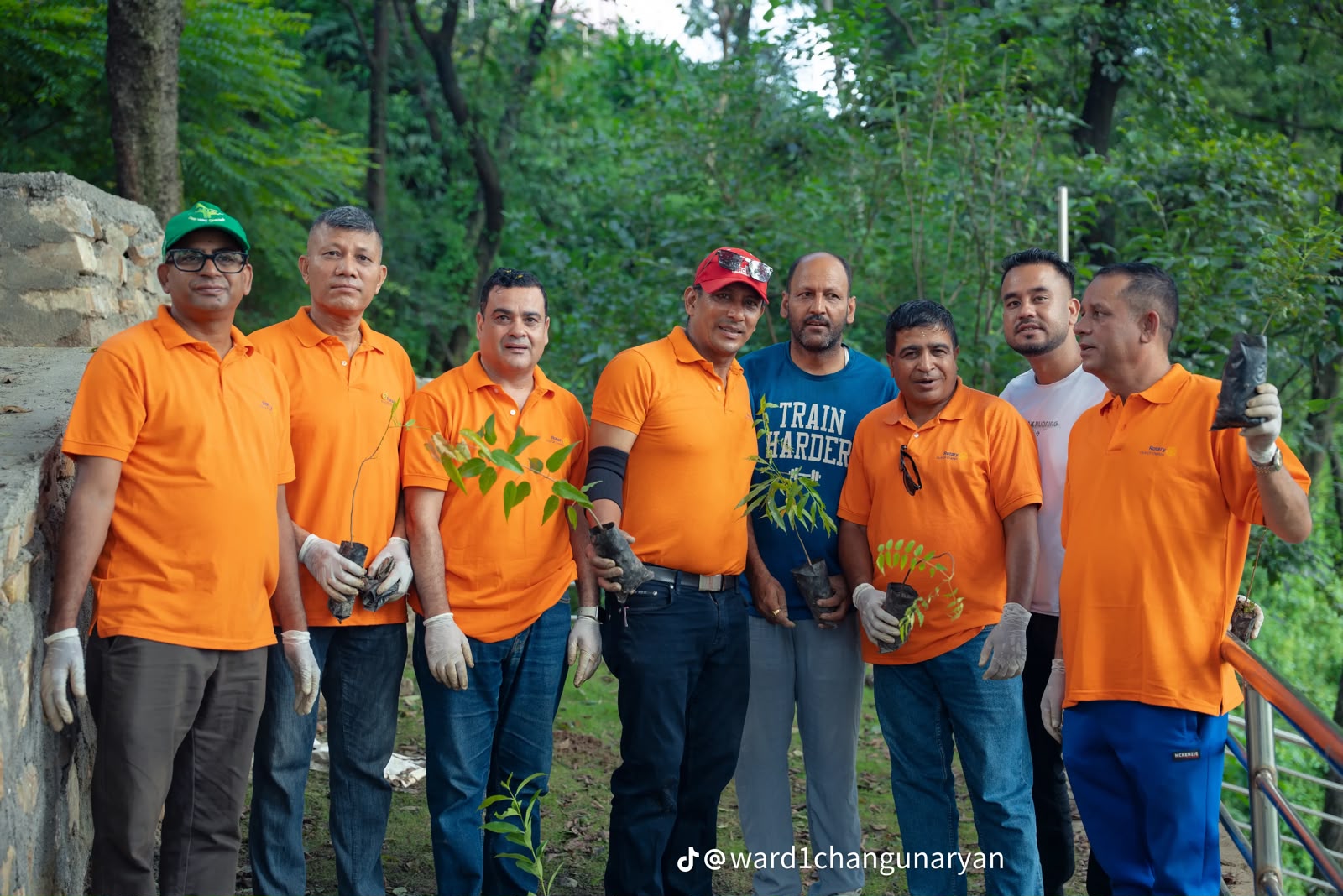 Tree Plantation