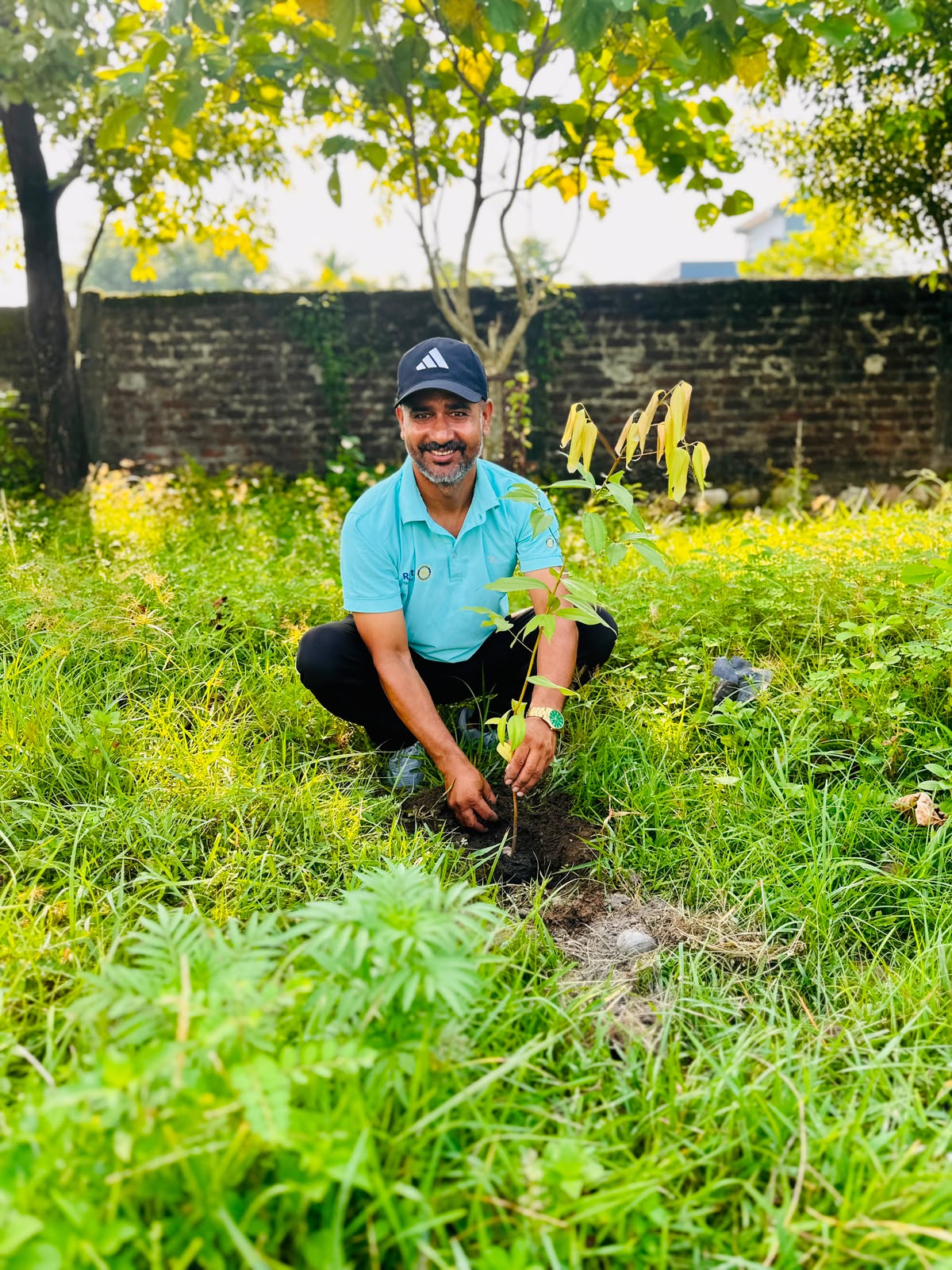 Tree Plantation Program