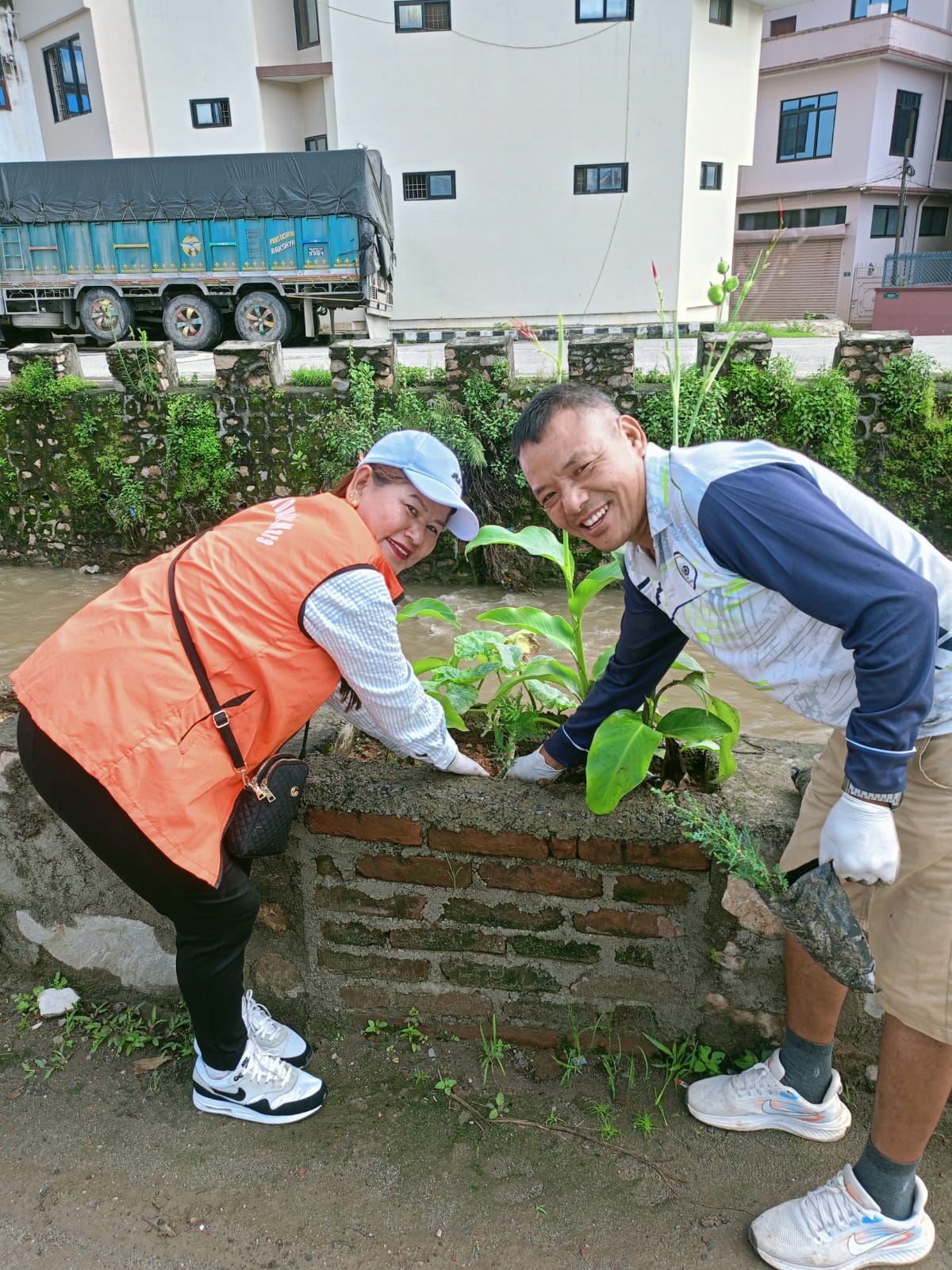 185 No of Tree Sapling were planted